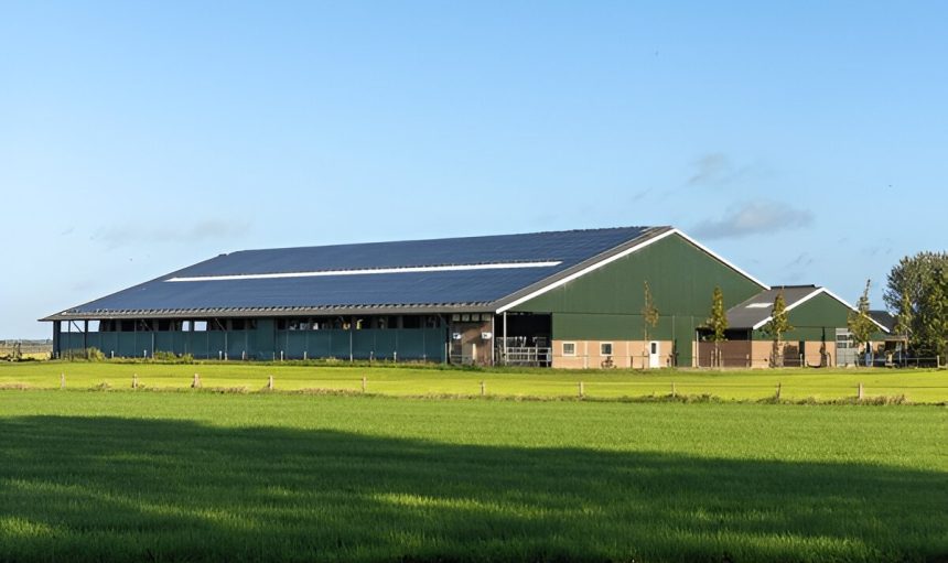 solardach verpachten
